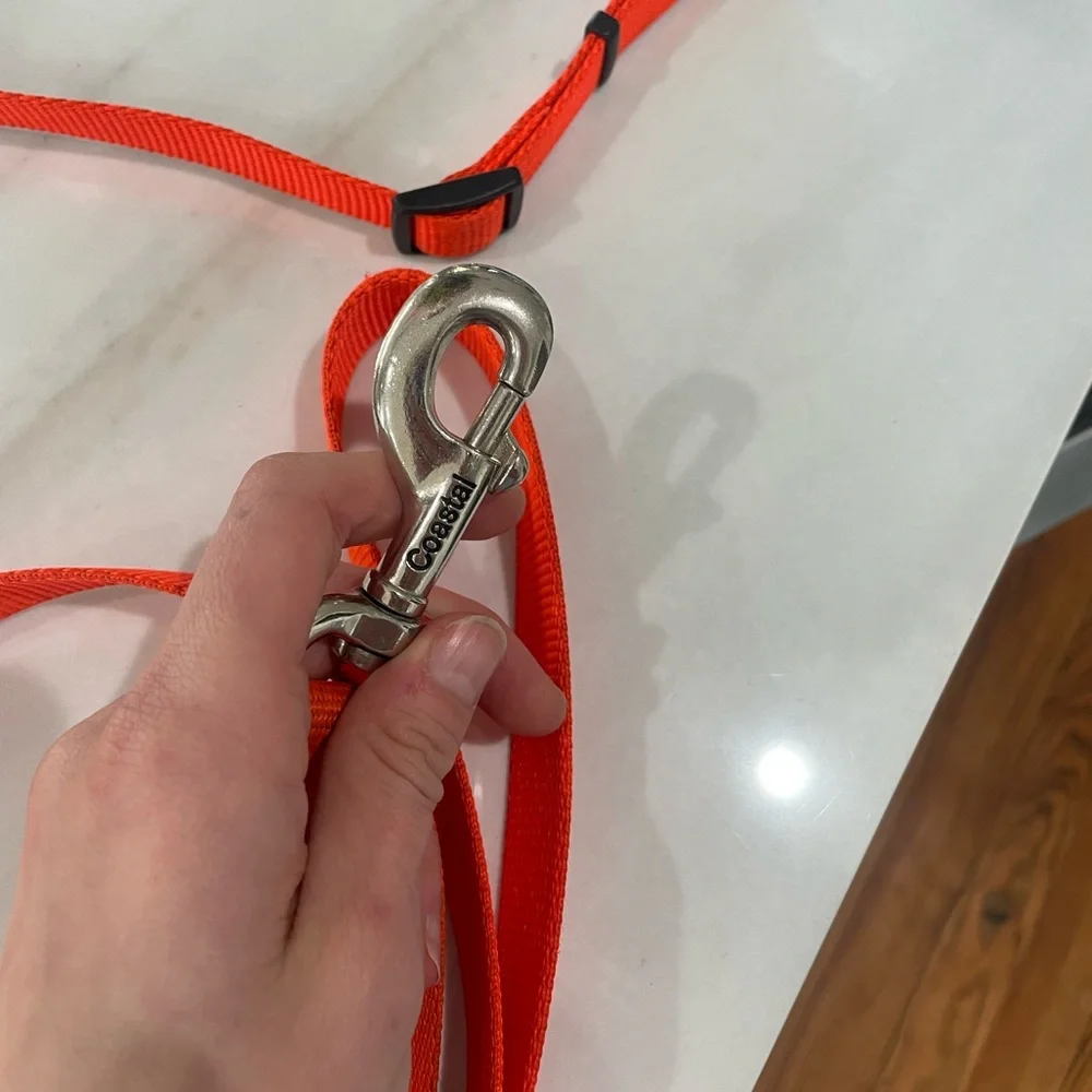 Orange Puppy Collar + Leash